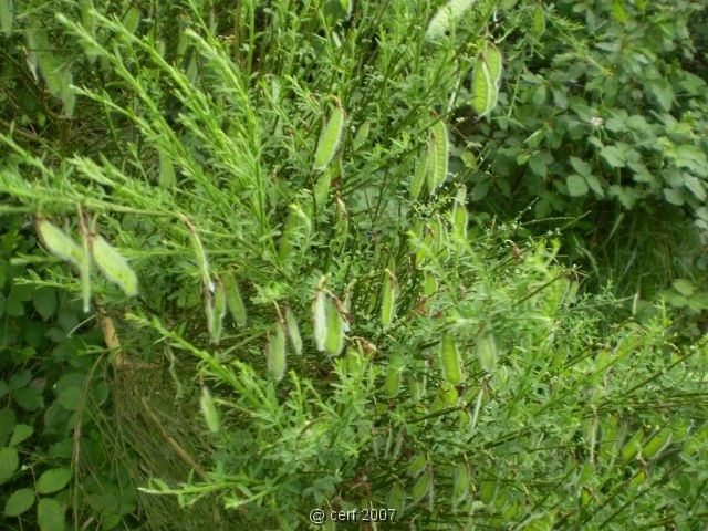 2007 05 Séjour en Brenne 092